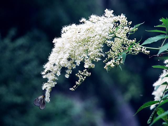 伟德bv国际体育