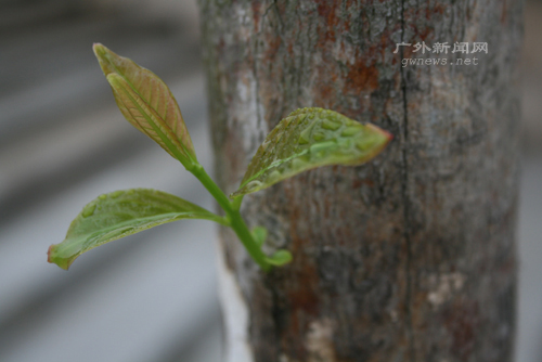 伟德bv国际体育