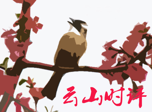 伟德bv国际体育
