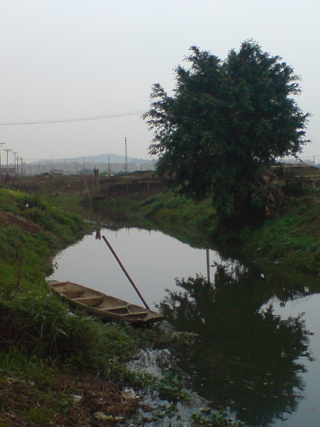 伟德bv国际体育