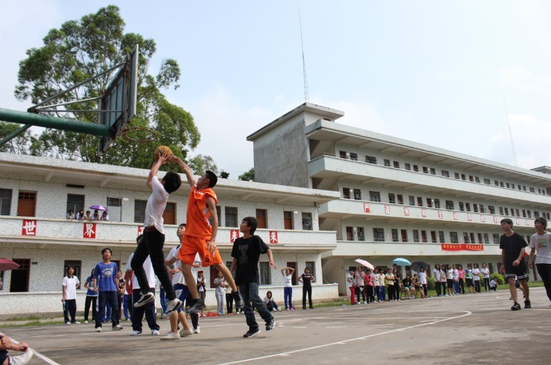 伟德bv国际体育